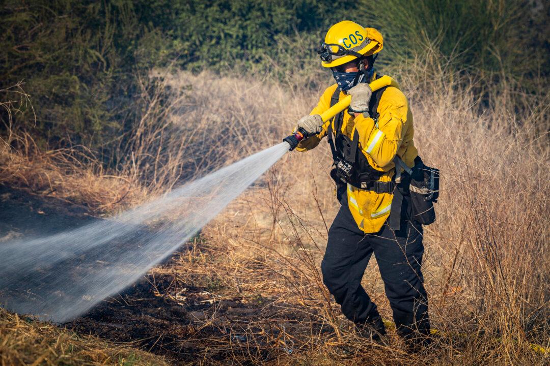 While California Dries Out and Burns, Bureaucrats Hype Diversity