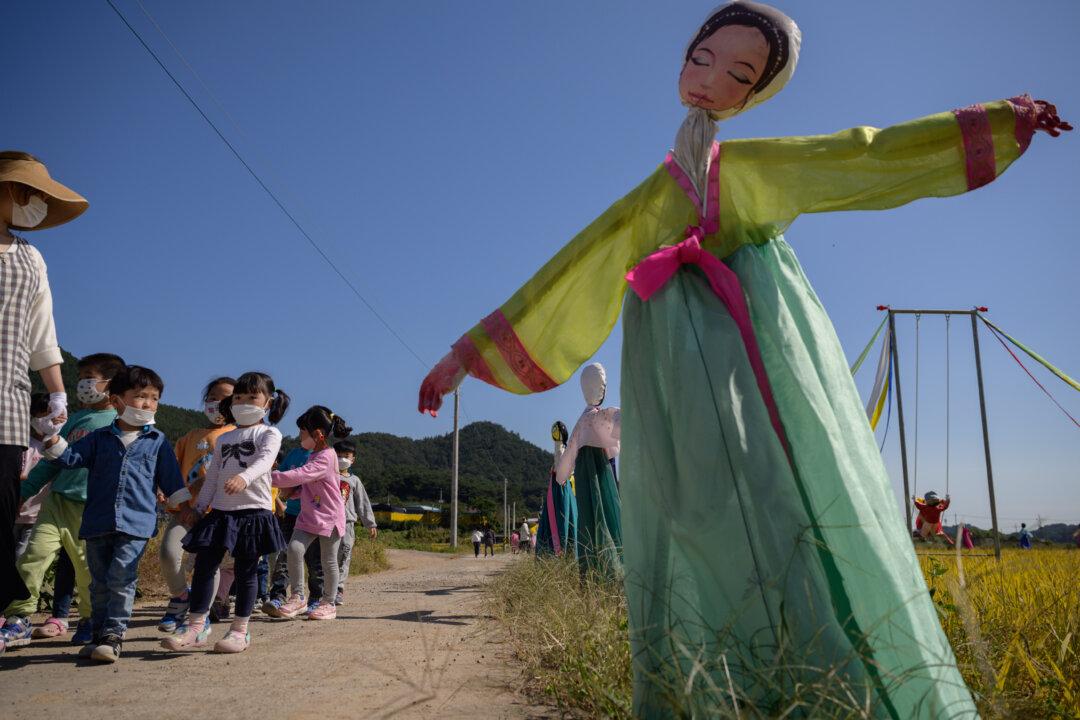 South Korea to Buy 200,000 Tons Surplus Rice to Prevent Price Drop