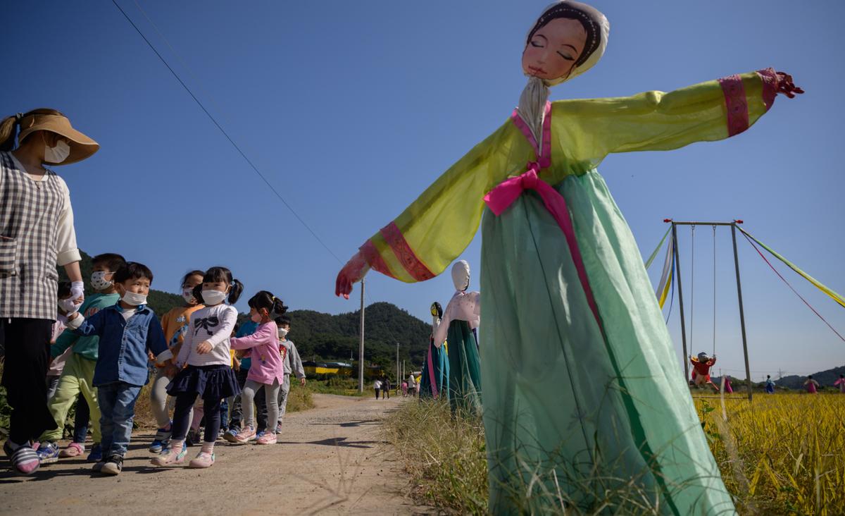 South Korea to Buy 200,000 Tons Surplus Rice to Prevent Price Drop