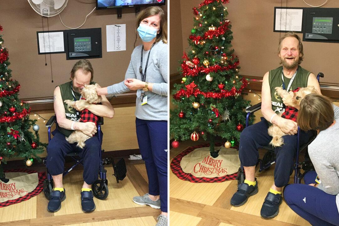 60-Year-Old in Hospital Separated From Beloved Dog—Until Kind Nurse Adopts Him, Reunites Them Before Christmas