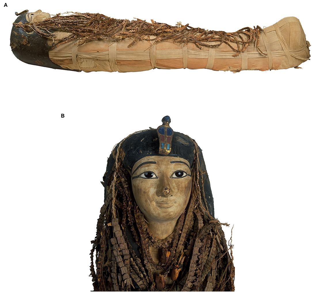 The mummy of Amenhotep I with a mask of painted wood and cartonnage. (Courtesy of Sahar N. Saleem & Zahi Hawass)