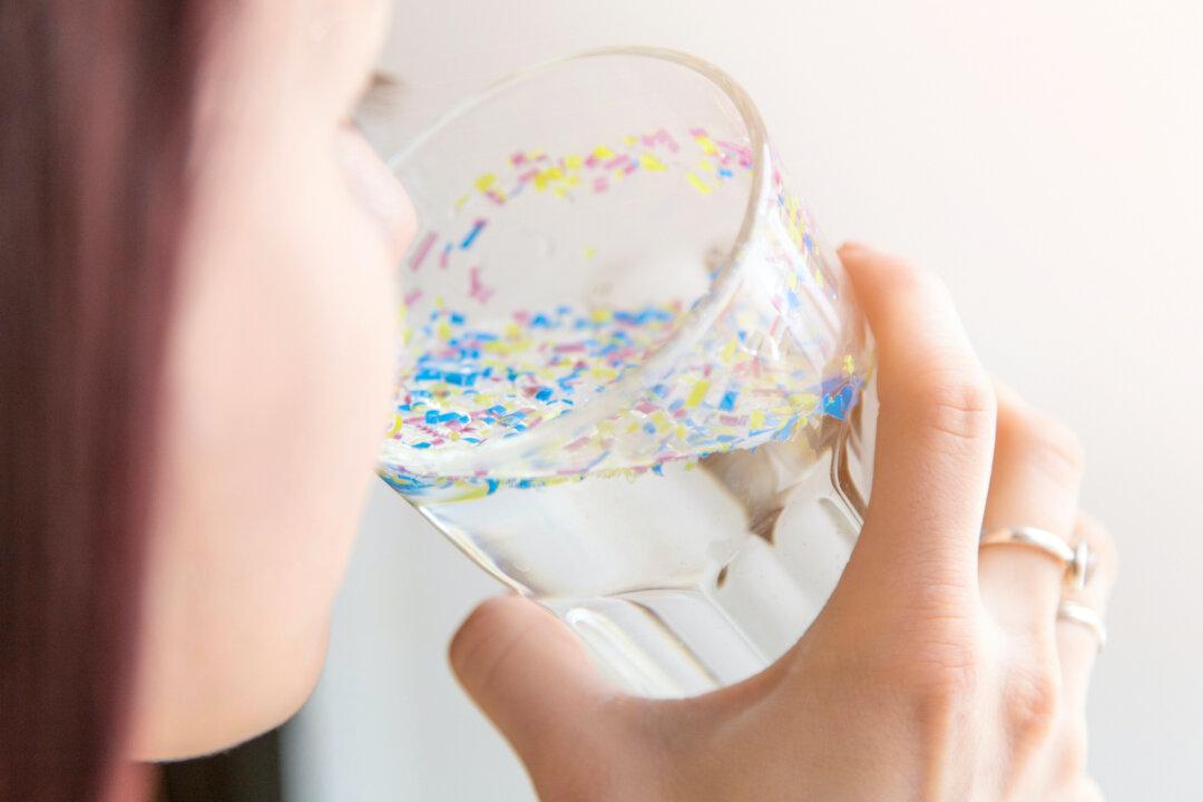 Microplastics Potentially in Food Chain, Experts Warn