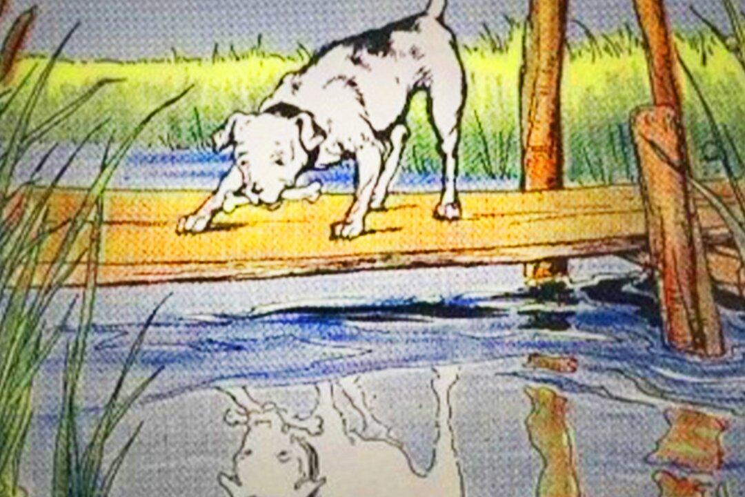 Aesop’s Fables: The Dog and His Reflection