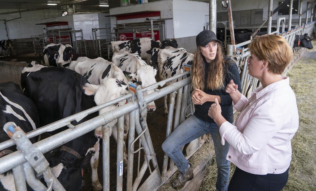Both Sides Claim Victory After US Complaint About Canada’s Dairy Quota Practices
