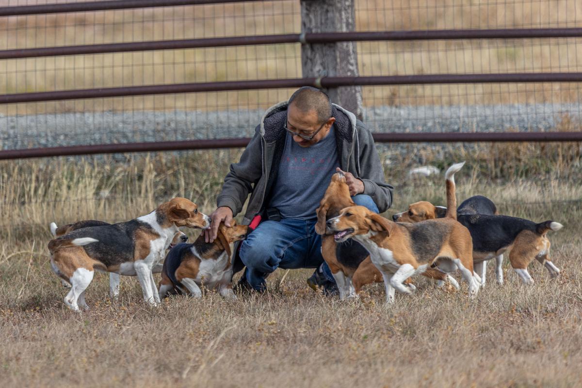 Rescue Organizations Work to Give Animals That Have Endured Years of Experimentation a New Life