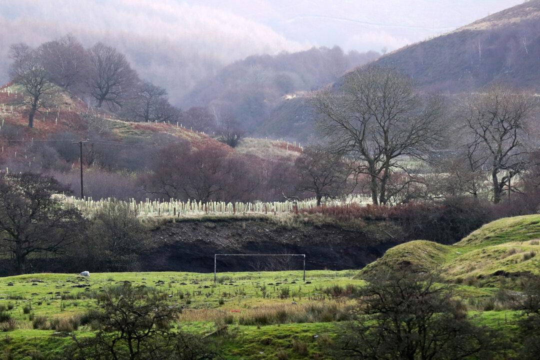Government Urgently Reviews Environmental Plan Amid Concerns That ‘Nature Is Dying’