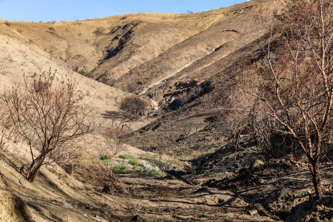 Despite More Rain, California Imposes More Water Restrictions