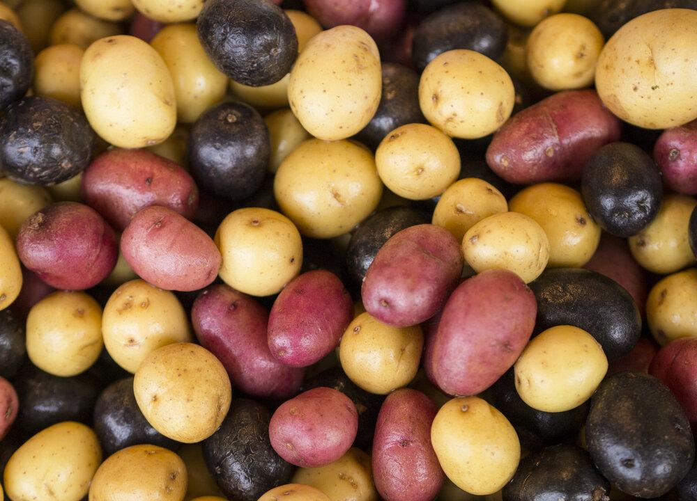 Got Potatoes? Make Spud Bisque