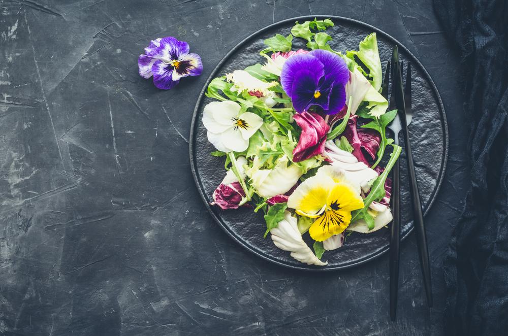 A Year of Sallets: Advice for Healthy Eating From the 1600s