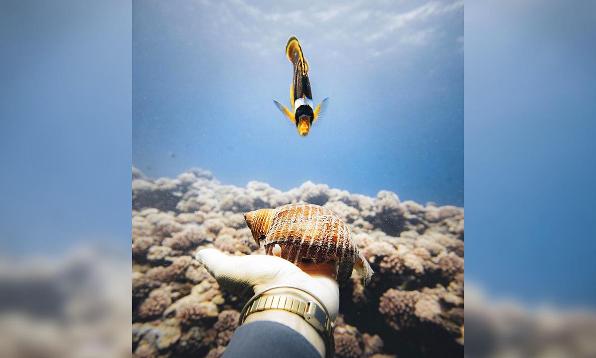 Diver Forms Amazing 2-Year Friendship With Tiny Racoon Butterfly Fish Who Recognizes Her, Swims to Say Hi
