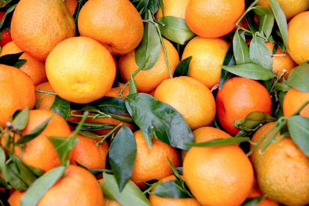 Fruit of the Month: Clementines
