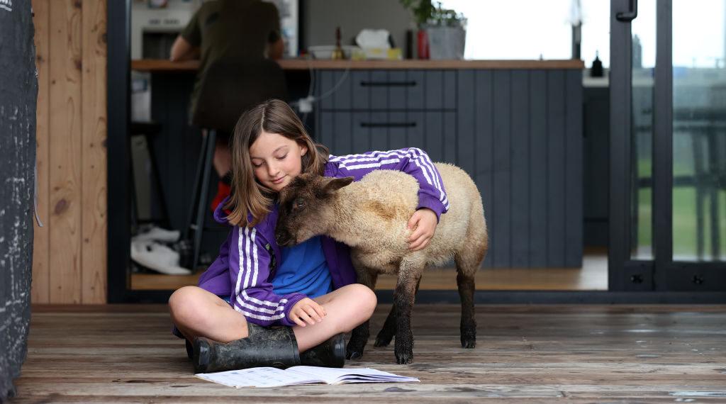 Are We Caring for Animals Over Our Children?