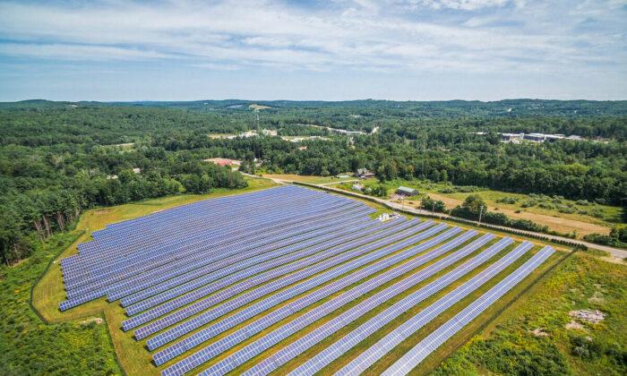 Solar Jobs Market Explodes as Companies Seek Workers to Meet Renewables Demand