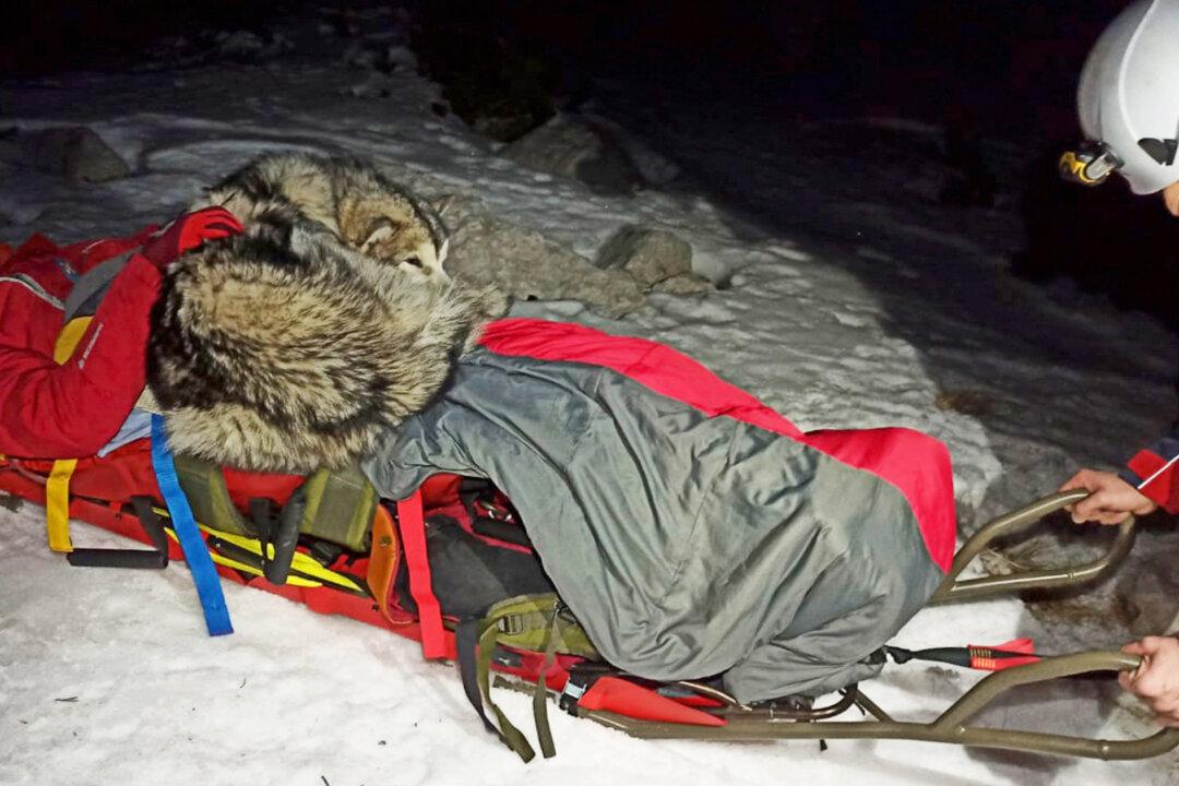 Mountain Climber Injured After Falling 150 Meters–But His Dog Lies on Him to Keep Him Warm Waiting for Rescuers