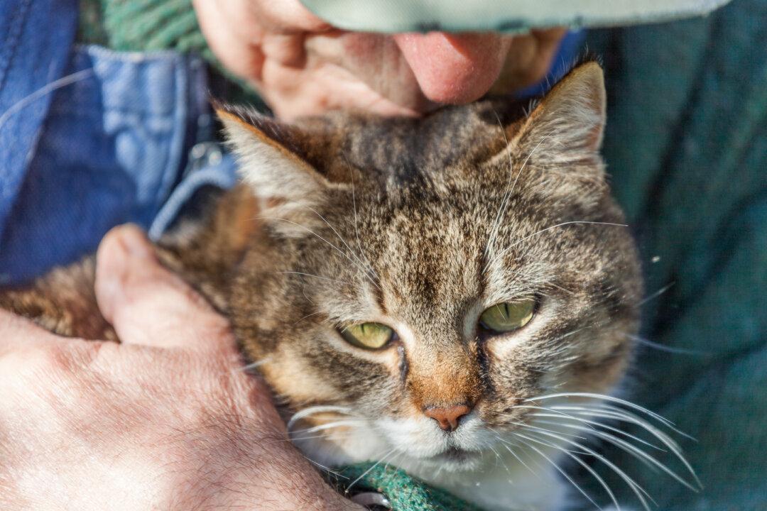 Memory Is a Big Part of the Sense of Touch