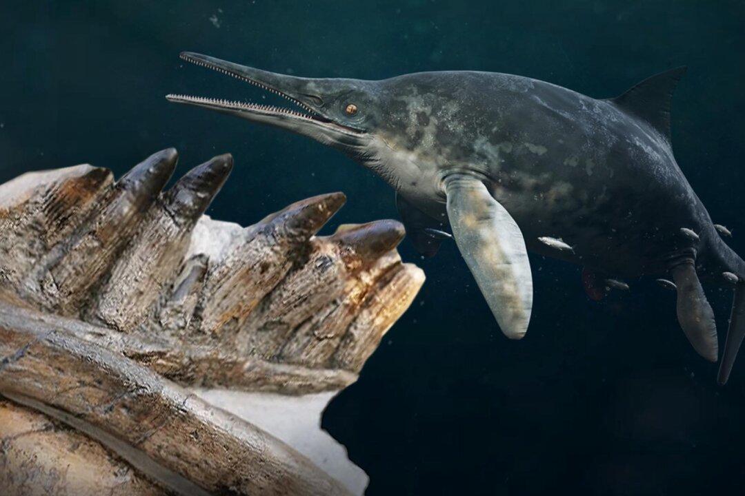 Fossil Hunters Unearth Enormous Jaws and Teeth of 180-Million-Year-Old Predatory Sea Reptile: The Ichthyosaur