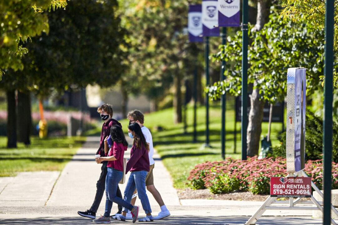 Our Shared Humanity Already Makes Us Equal, No Need for Odious Perplexities