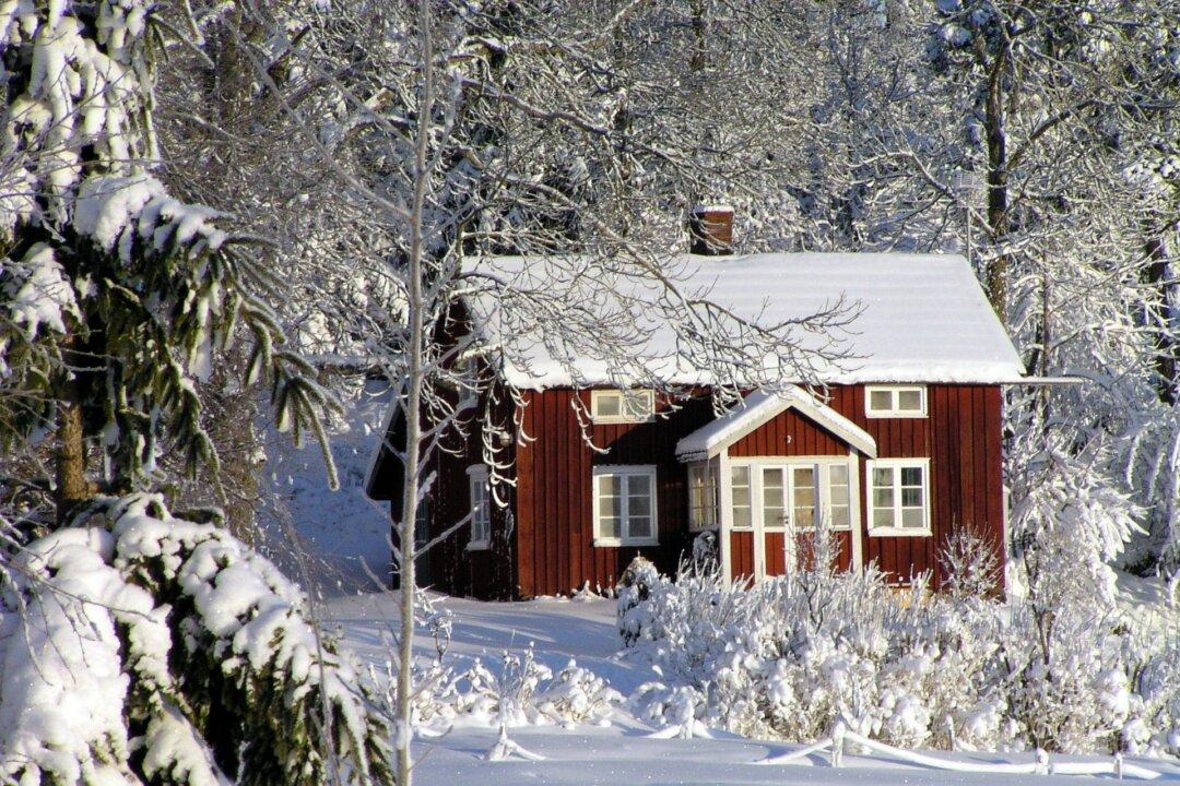 Winter To-Do List for Gardeners