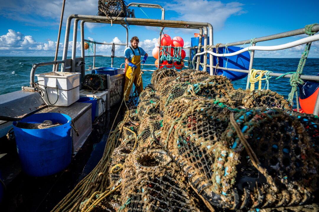 Industry Worried That New Medical Requirements Will Ban Overweight Fishermen