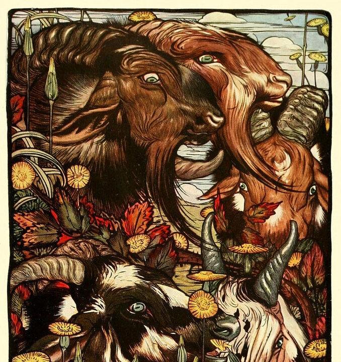 Detmold’s Illustrations: The Finishing Touch for a Beautiful Book