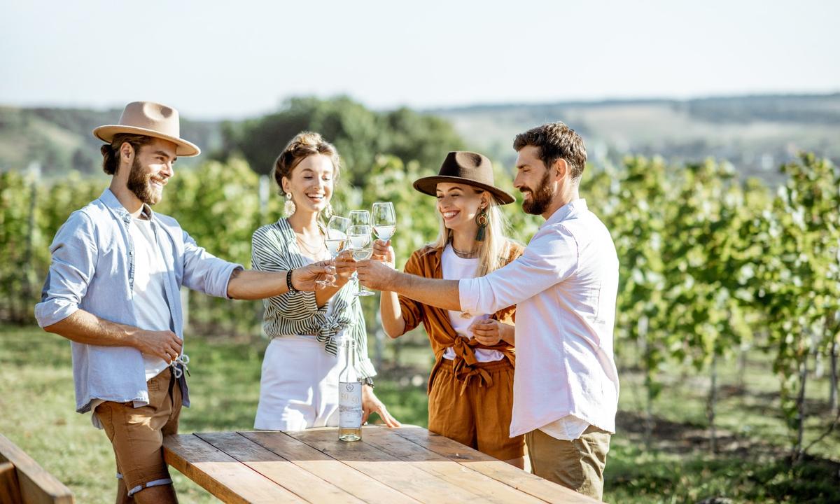 A Beginner’s Guide to Tasting Wine Like a Pro