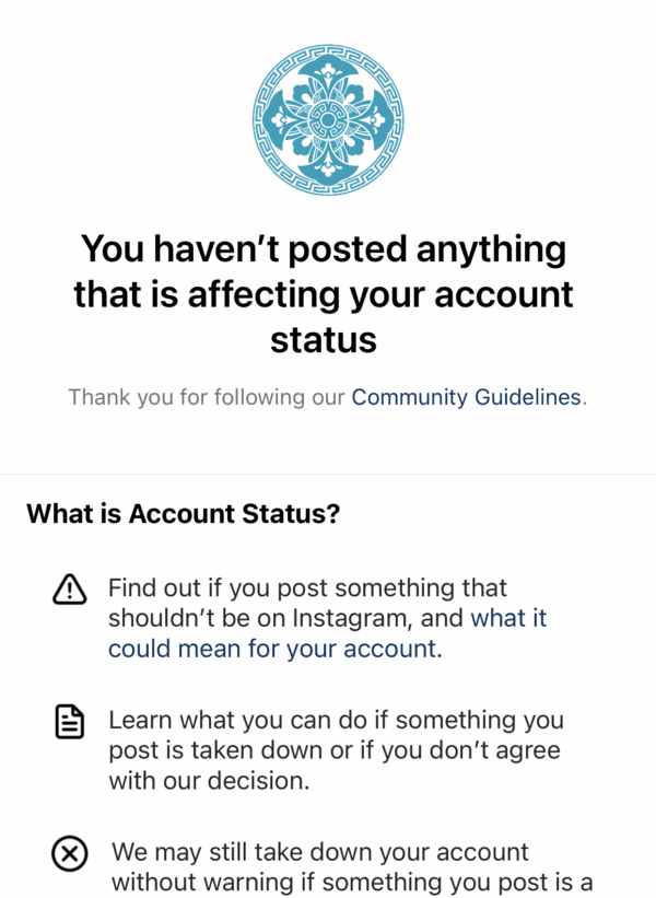 (Screenshot supplied by Ariel Tian)