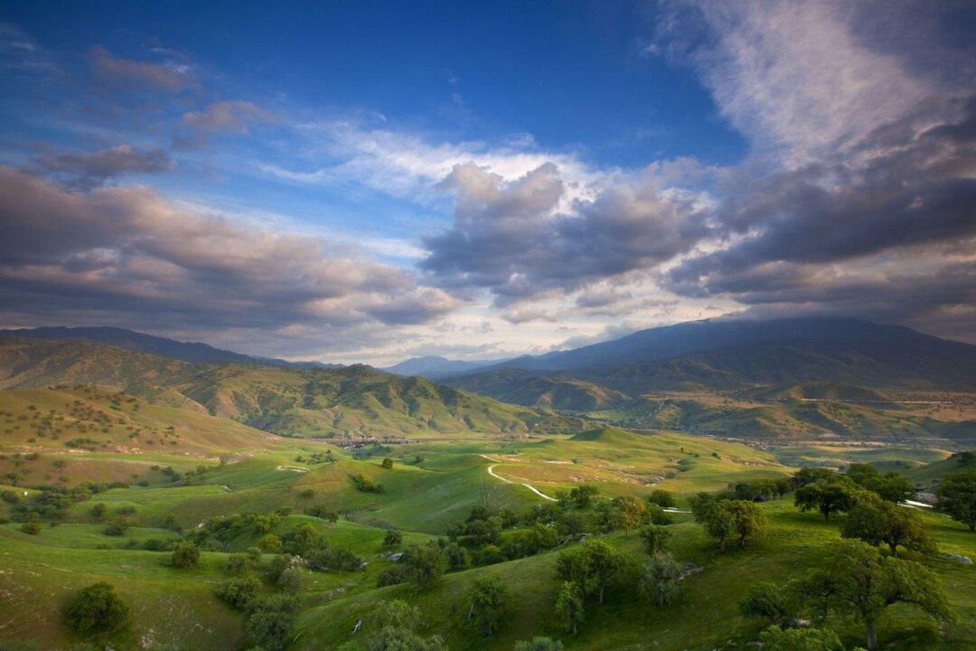 Couple Gifts $50M for California Preserve 5 Times the Size of Manhattan