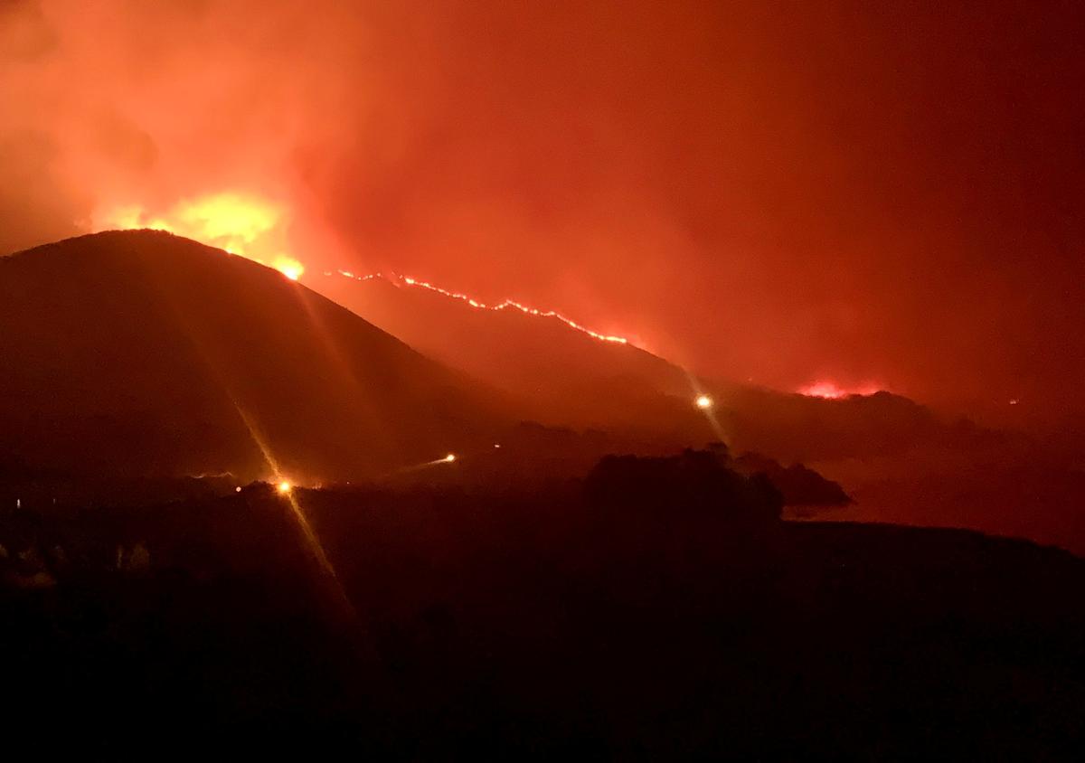Red Tape Stokes Devastating Wildfires: Report