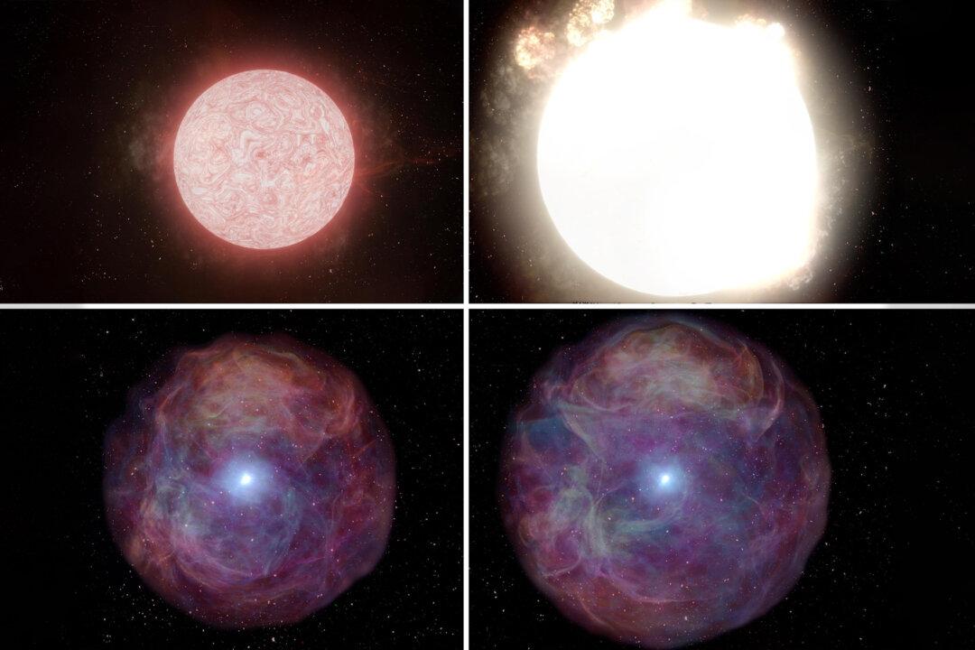 VIDEO: Astronomers Watch Red Supergiant 10X Bigger Than Our Sun Explode in Real Time for First Time Ever
