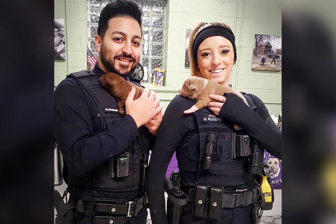 Detroit Police Respond to ‘Vicious Dog’ at Abandoned House, Make Adorable Puppy Discovery Inside