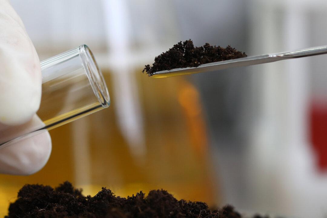 Natural Antibiotic Resists ‘Superbugs’