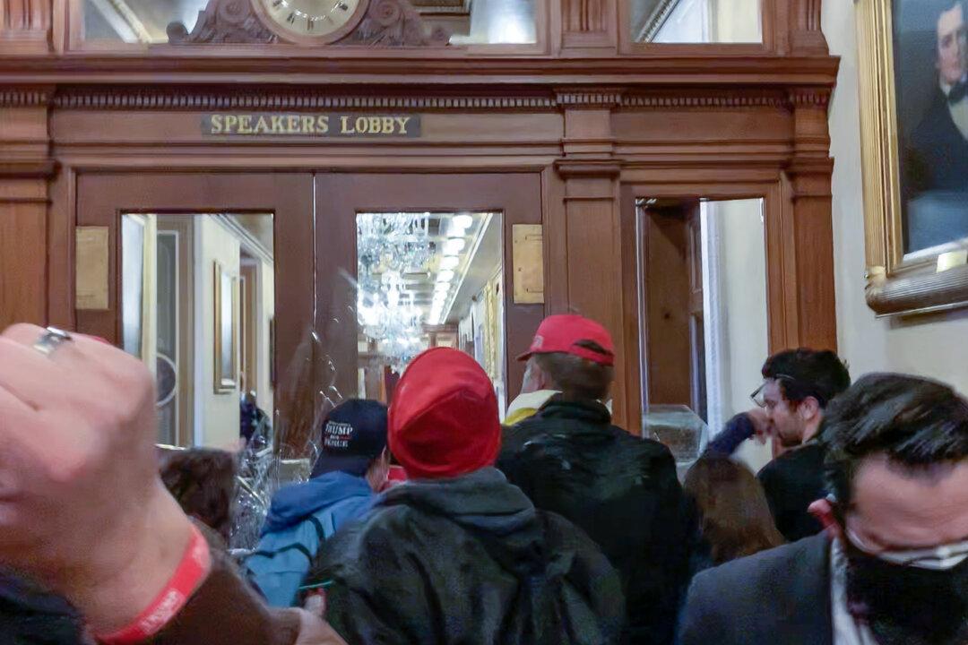 Ashli Babbitt Punched Rioter Seconds Before She Was Shot, New Video Shows