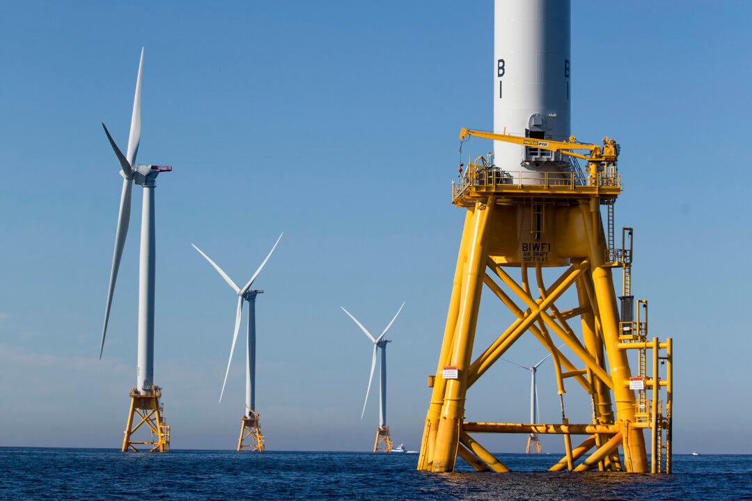 Big Wind Projects Moving Forward Despite Insufficient Research on Threat to Marine Life, Biden Admin Study Finds