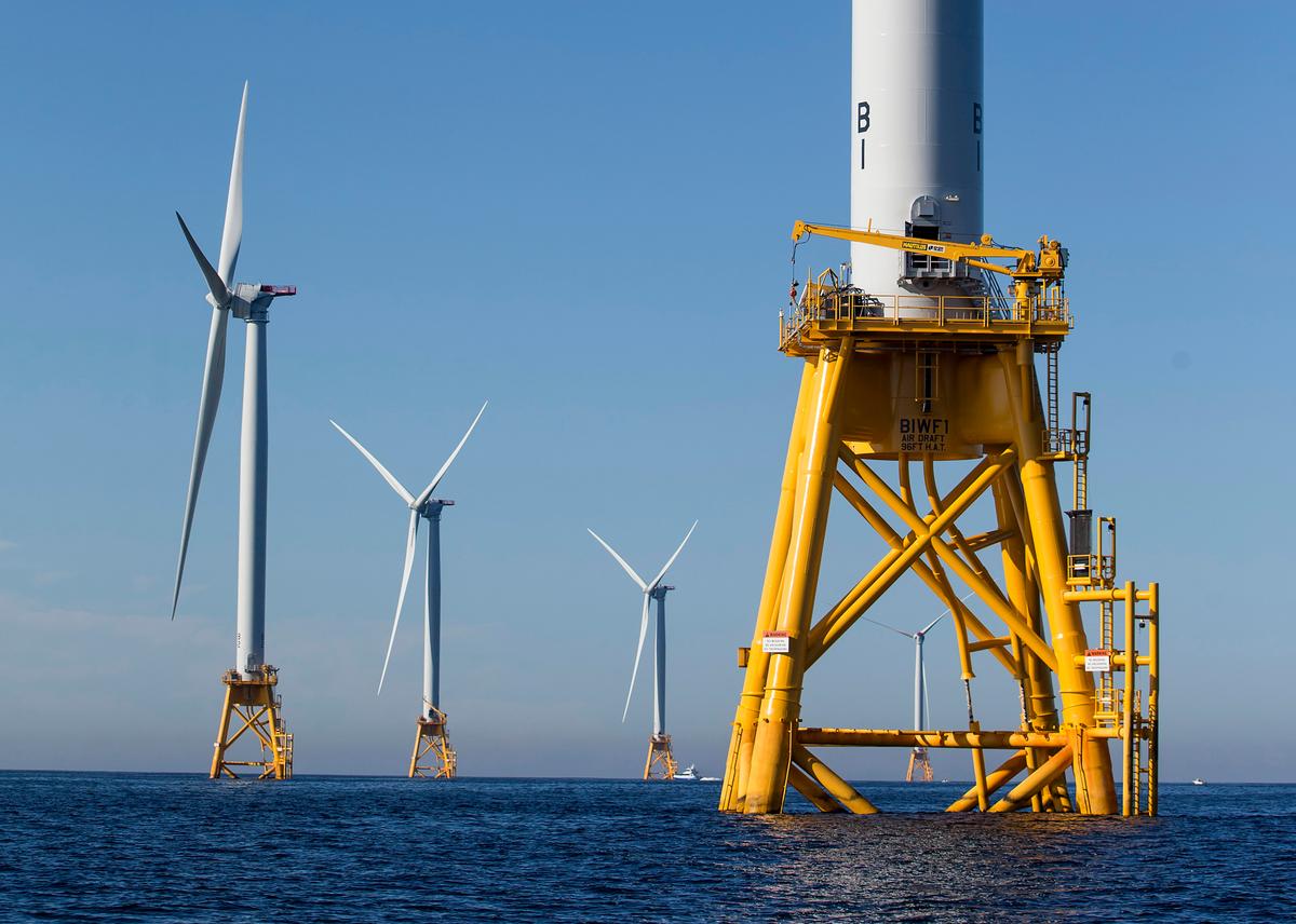 Big Wind Projects Moving Forward Despite Insufficient Research on Threat to Marine Life, Biden Admin Study Finds