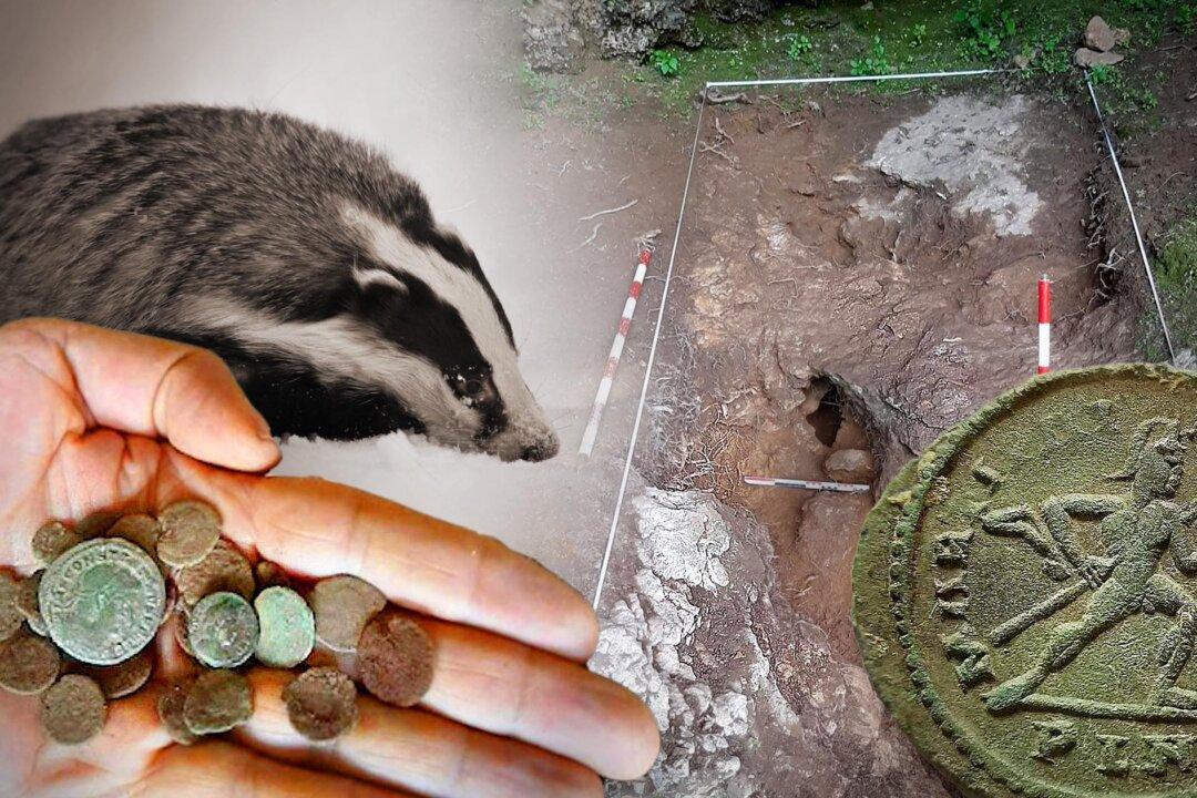 Foraging Badger Unearths Trove of Over 200 Roman Coins Dating Back to the 3rd Century in Cave in Spain