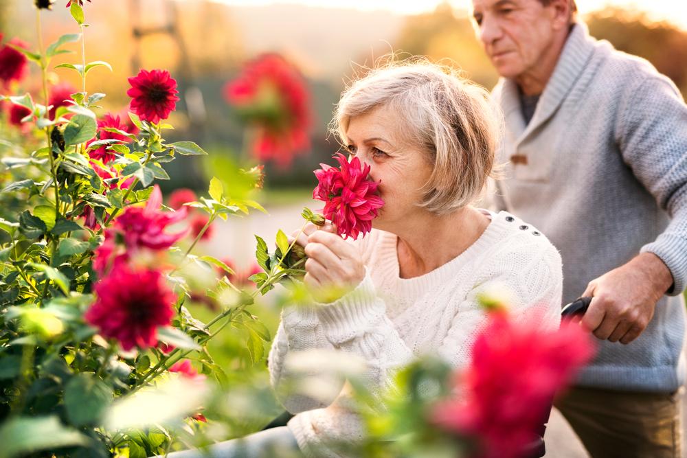 For Older Adults, Smelling the Roses May Be More Difficult