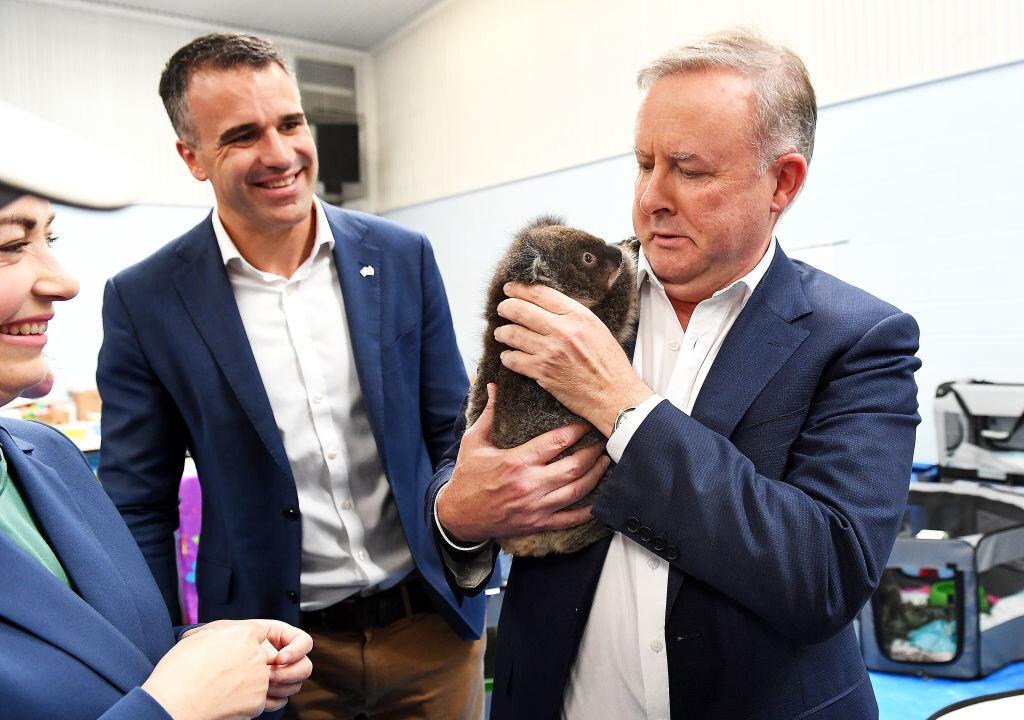 South Australian Opposition Leader Calls for a Ban on Political Donations