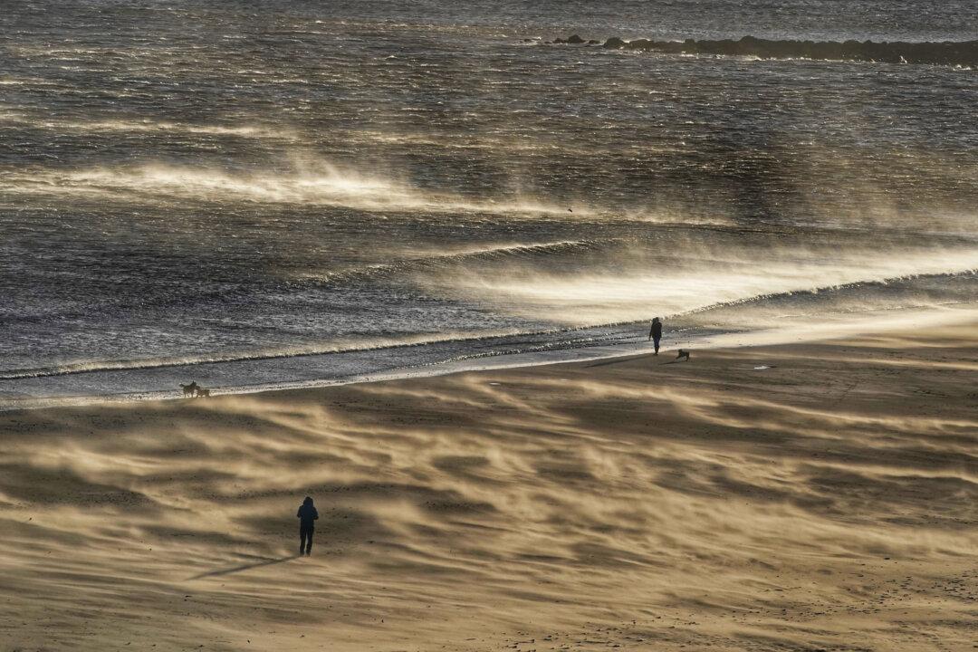 Woman Killed by Falling Tree as Storm Malik Batters UK
