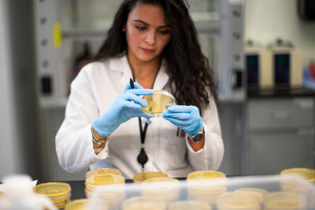 ‘Slowing Rates of Disruption,’ Decline in Scientific Breakthroughs, Researchers Stumped