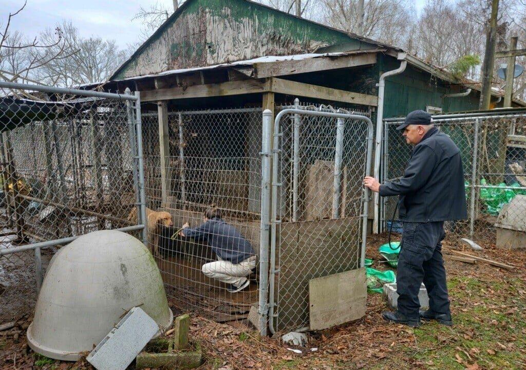 47 Dogs, 14 Puppies Rescued from ‘Inhumane Living Conditions’ Near Outer Banks