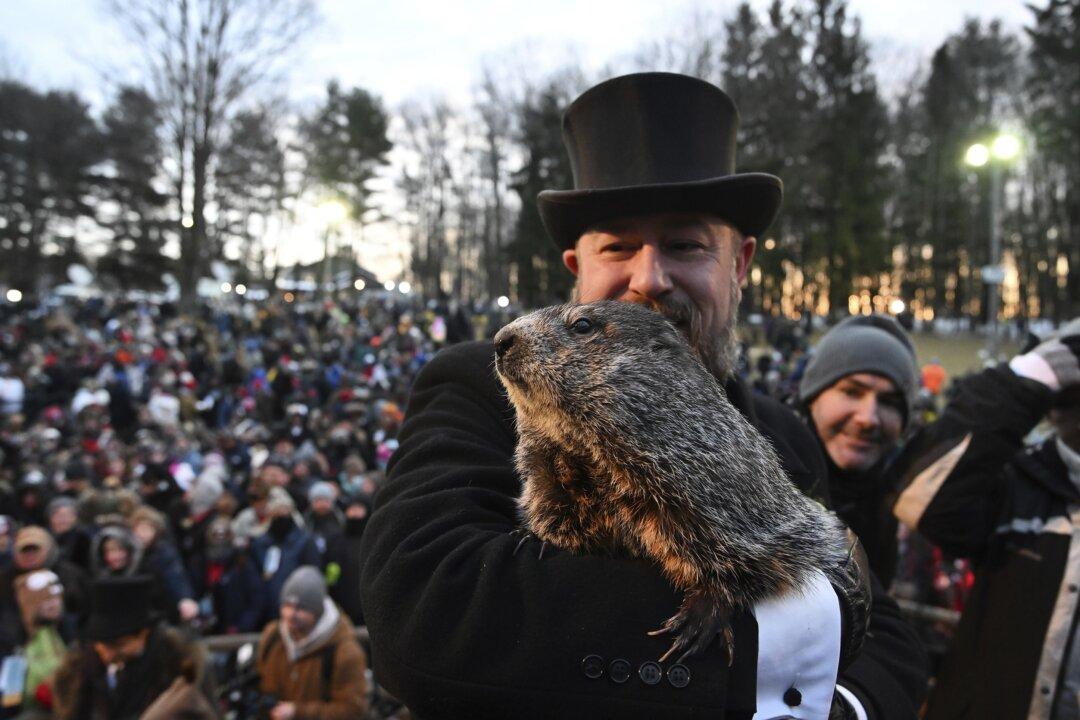 Punxsutawney Phil Predicts 6 More Weeks of Winter
