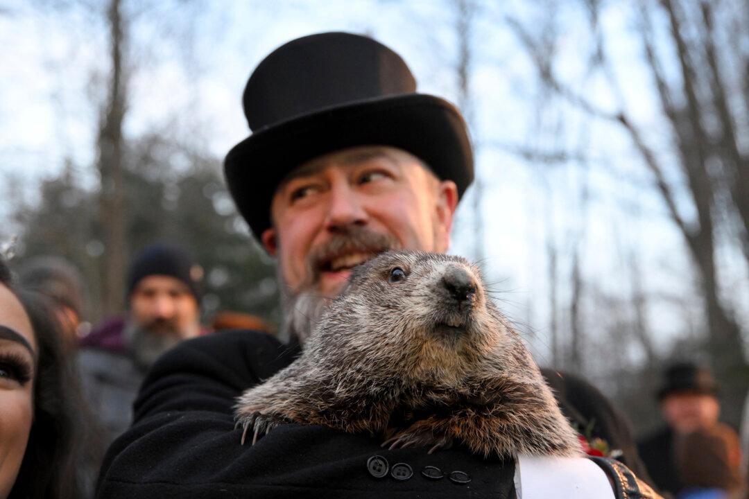 How a Groundhog Became America’s Most Famous Meteorologist
