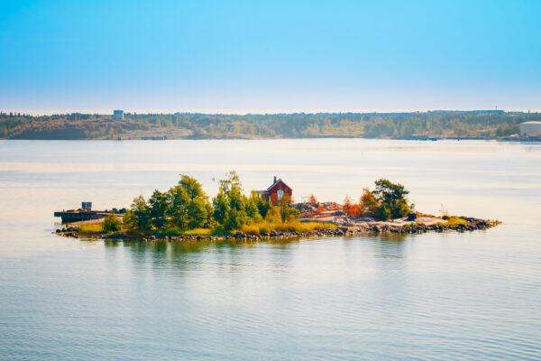 (Grisha Bruev/Shutterstock)