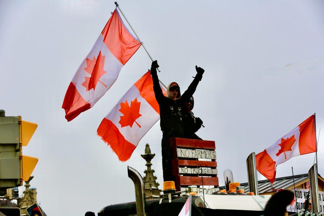 Ottawa Residents, Trucker Convoy Protesters to Face Off in Court