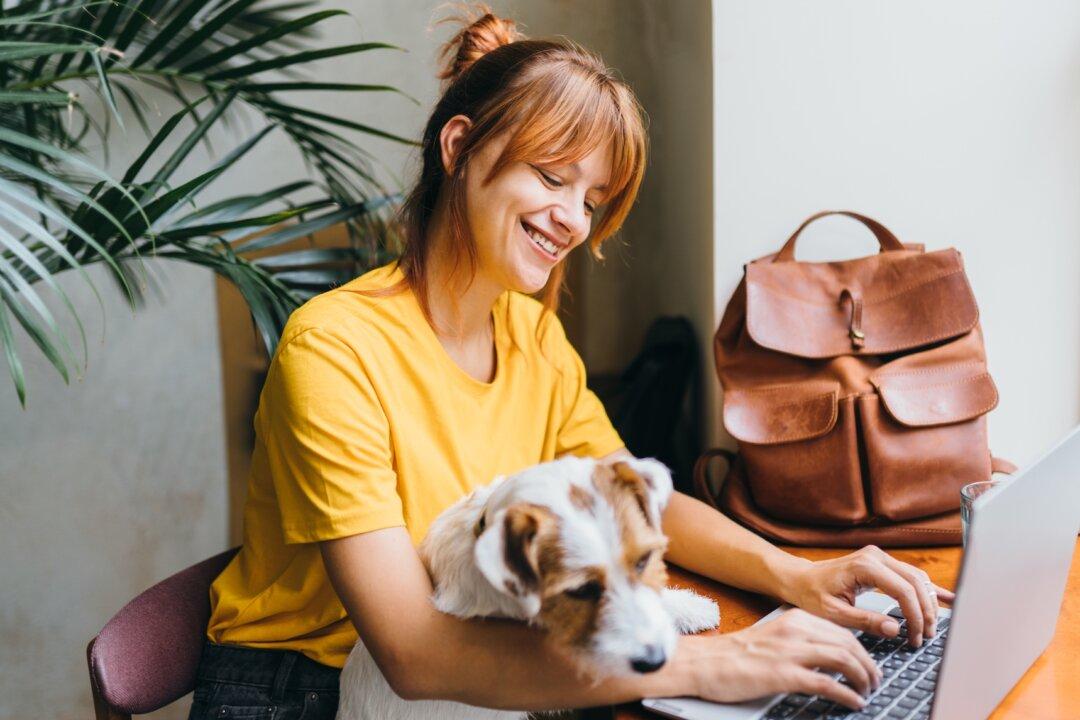 Boost Your Income in 2024: Discover the Top Five Lucrative Freelance Jobs