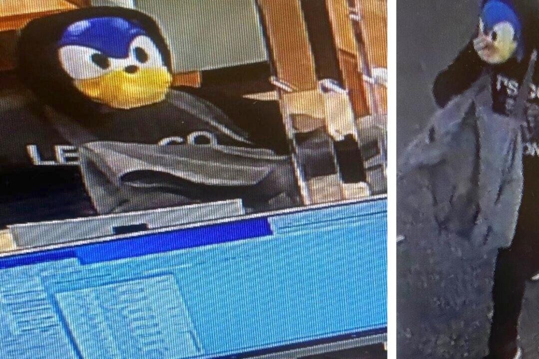 Police Search for Suspect Who Tried to Rob Florida Bank Wearing ‘Sonic the Hedgehog’ Mask