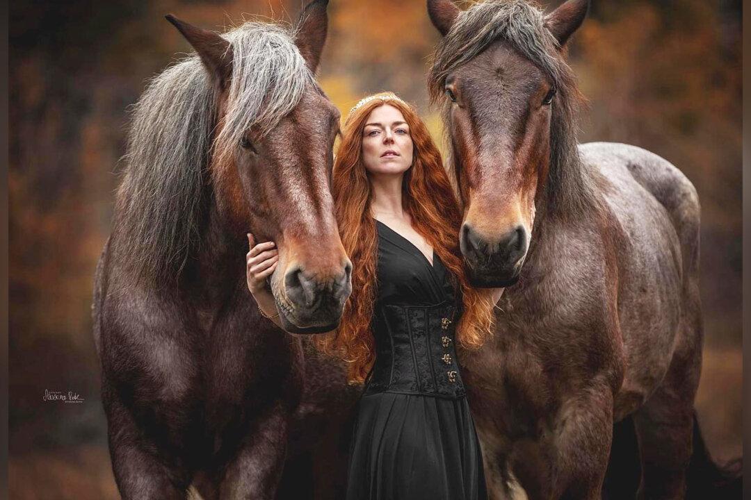 Mom-of-2 Photographs Majestic Moments Between Horses and Humans as a Part-Time Job