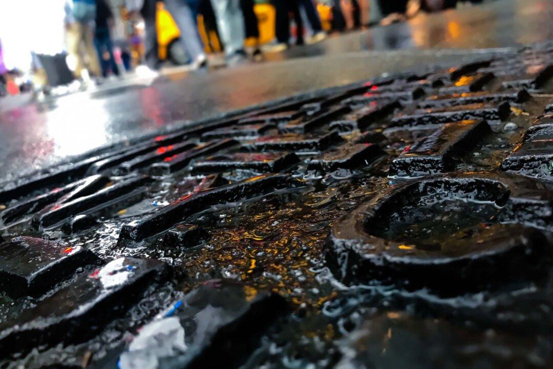 4 ‘Cryptic’ Sars-Cov-2 Variants Lurk in NYC Sewers