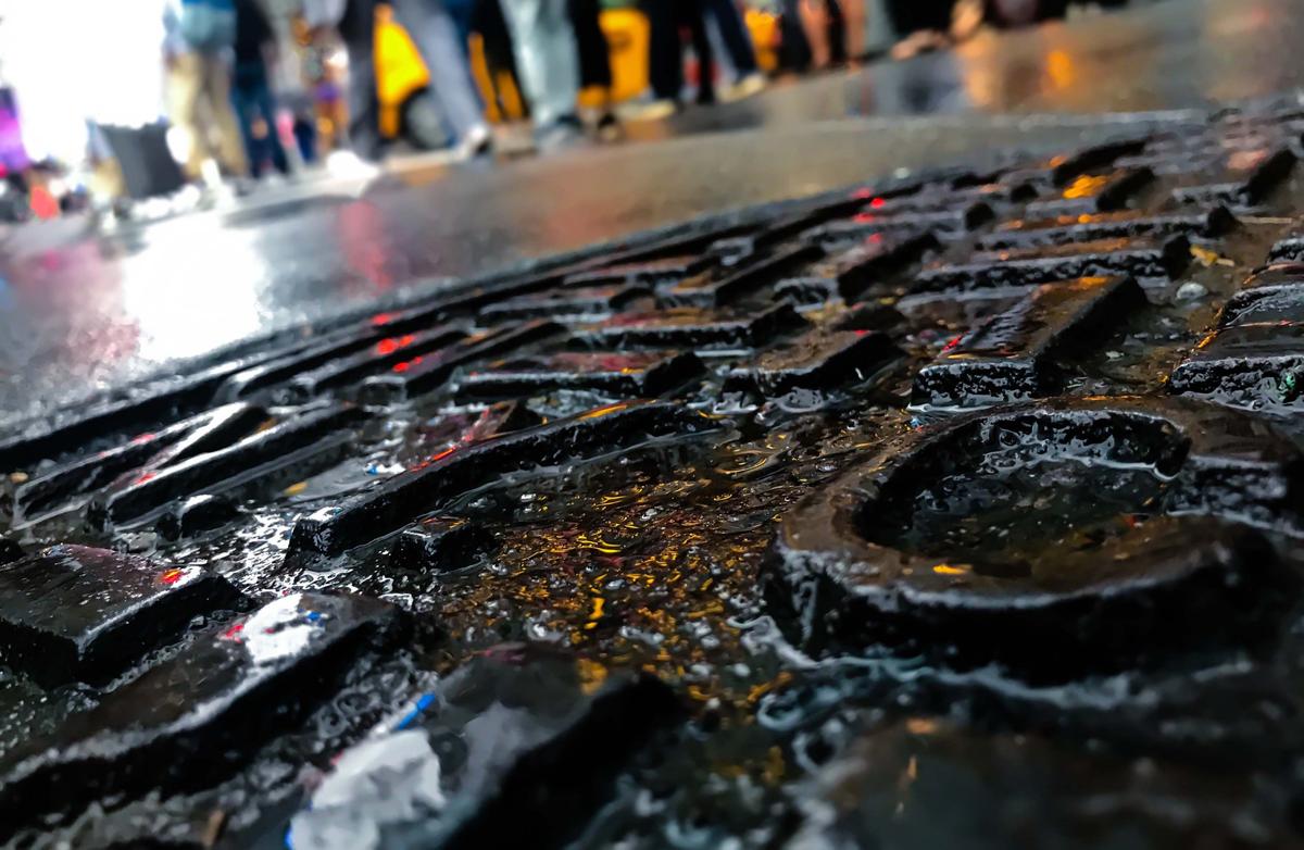 4 ‘Cryptic’ Sars-Cov-2 Variants Lurk in NYC Sewers