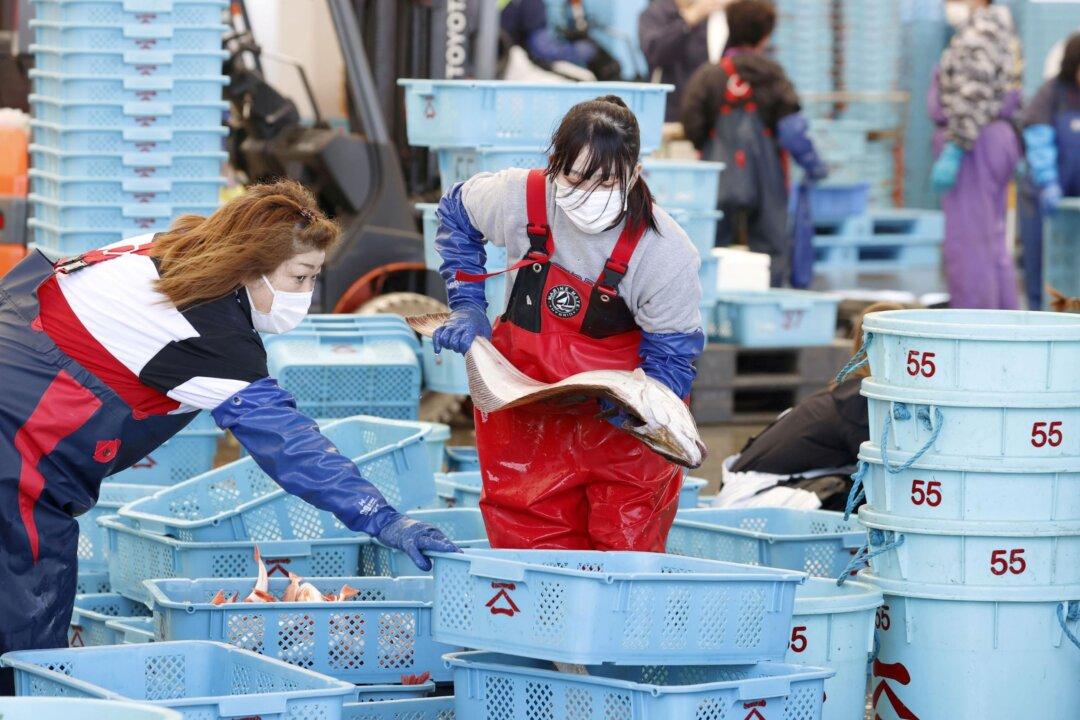 Japan Halts Shipment of Black Rockfish Caught Off Fukushima Over Radiation